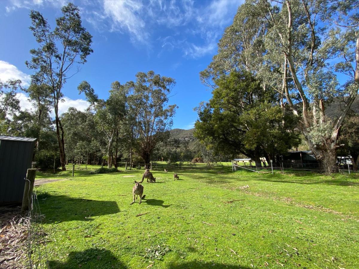 Kangurra House Villa Halls Gap Exterior photo